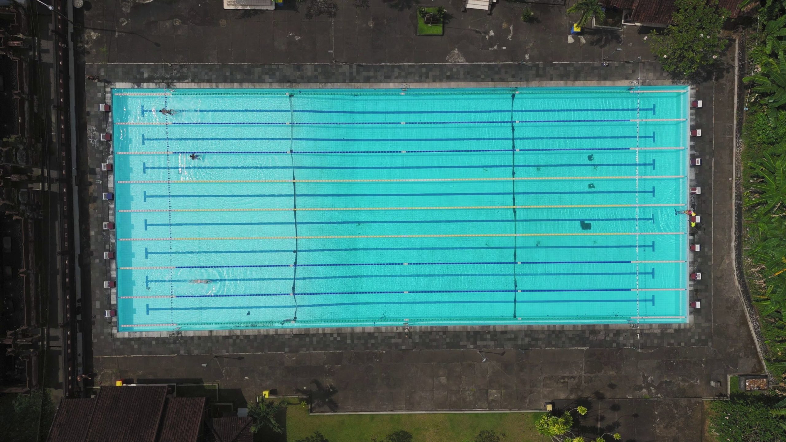 vertical-drone-frames-an-olympic-pool-in-bali-indonesia-turquoise-water-and-lane-marke-SBI-357485177